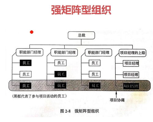 信息系統(tǒng)項(xiàng)目管理基礎(chǔ) 生物質(zhì)能資源數(shù)據(jù)庫信息系統(tǒng)