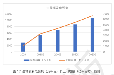 生物質(zhì)能在碳中和進(jìn)程中的關(guān)鍵作用分析——基于生物質(zhì)能資源數(shù)據(jù)庫信息系統(tǒng)的視角